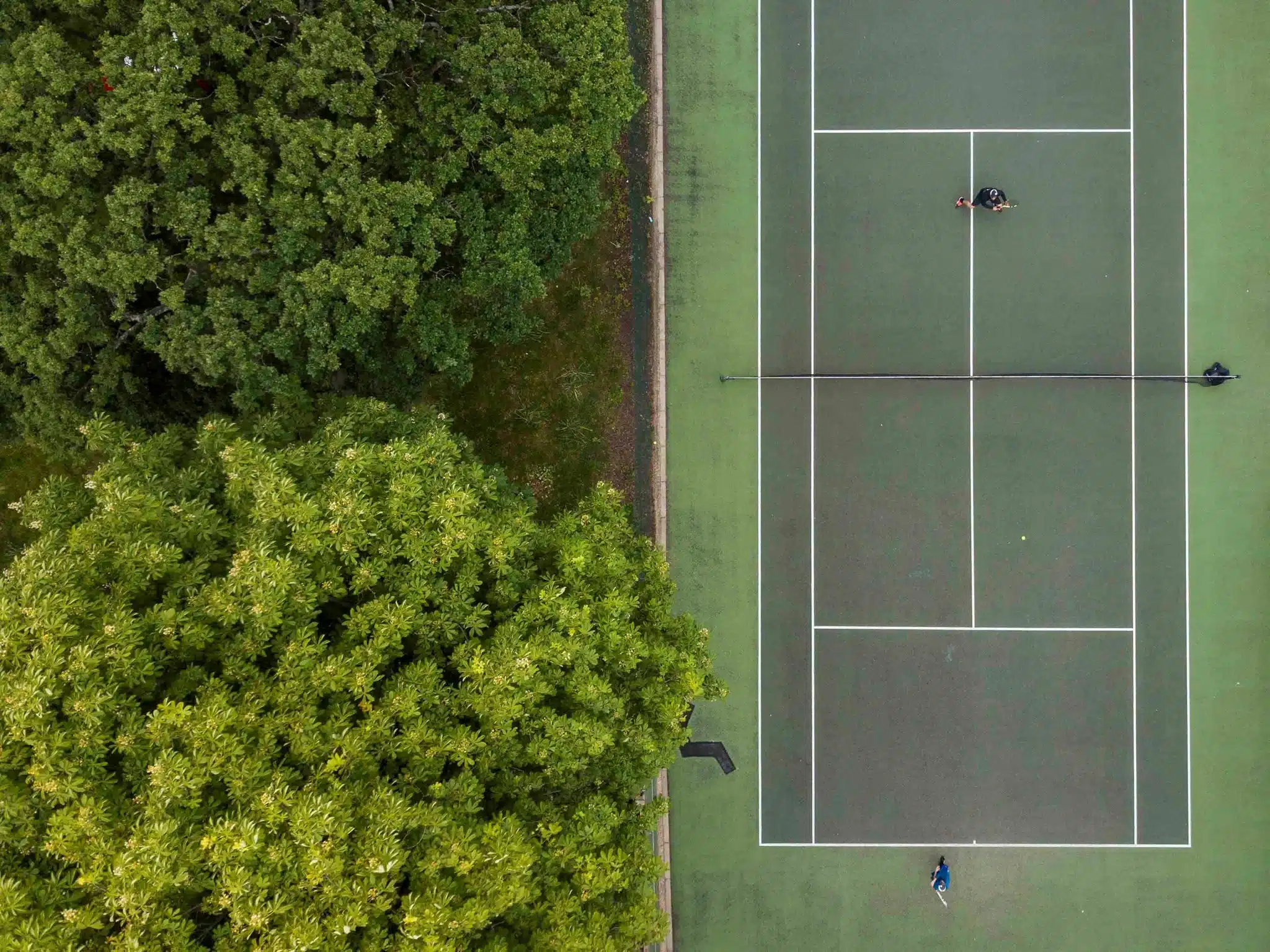 SDTL Awarded the LTA Protect Where We Play Award